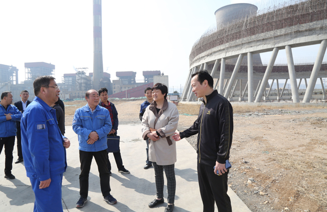 洛阳市重点办主任顾海婵一行到 亚洲体育登录平台下载2×60万千瓦机组工地调研