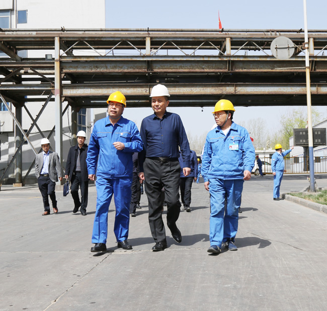 洛阳市副市长贺敏到亚洲体育登录平台下载集团调研